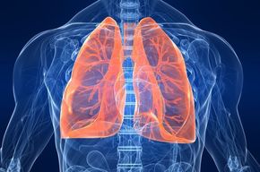 Tip list pulmones