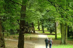 Tip list pareja madura en bosque