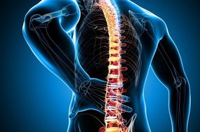 Tip list columna vertebral