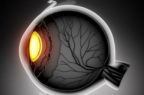Tip list 123 anatomia del ojo