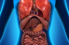 Tip list 123 sistema digestivo mujer