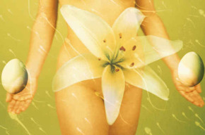Tip list congelacion ovulos
