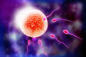 Tip list 123 fertilidad