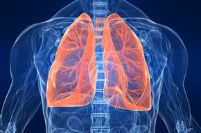 Tip list pulmones