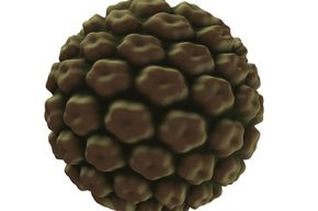 Tip list 123 virus del papiloma humano
